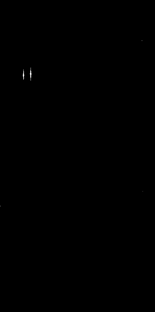 Preview of Cal-ADVORNIK-OMEGACAM-------OCAM_g_SDSS-ESO_CCD_#80---Satur-Pix-57962.4013645-7b063258d6e270034d220fad61af5a78b3327e97.fits.gz