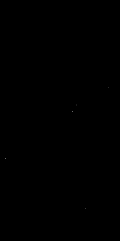 Preview of Cal-ADVORNIK-OMEGACAM-------OCAM_g_SDSS-ESO_CCD_#82---Satur-Pix-57964.9563164-c30faf060a3a5e5b829dd8dcc2d5019bfa7d078f.fits.gz