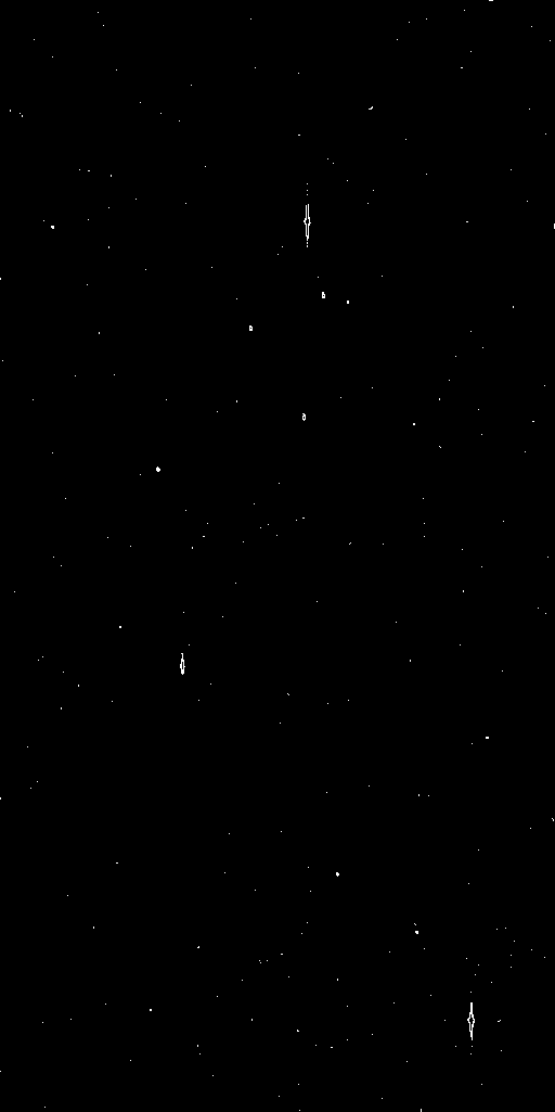 Preview of Cal-ADVORNIK-OMEGACAM-------OCAM_r_SDSS-ESO_CCD_#94---Cosm-Pix-57936.7641163-df754f8227fb15a91bfbf8a22fc29c9777176813.fits.gz