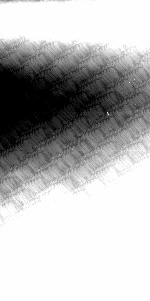 Preview of Cal-EHELMICH-OMEGACAM-------OCAM_u_SDSS-ESO_CCD_#71-Mas-Dome-Flat-56714.6638655-61235c142830366032e3d9a14dfaacb5b09de845.fits