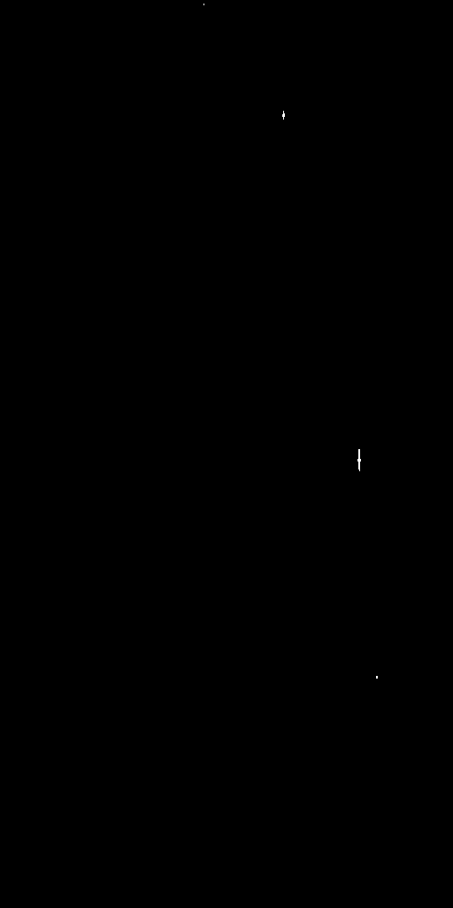 Preview of Cal-JDEJONG-OMEGACAM-------OCAM_g_SDSS-ESO_CCD_#80---Satur-Pix-57997.9697948-12ae9d7b95c89f2c9bc20e1ba6fe1443a7962070.fits.gz