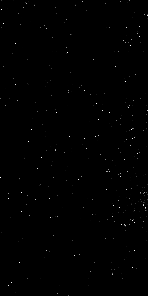 Preview of Cal-JDEJONG-OMEGACAM-------OCAM_g_SDSS-ESO_CCD_#85---Cold-Pix-57686.3564225-63cb410290335ca97e58c9f8bf3c974c1bd49cb2.fits.gz
