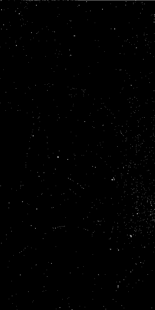 Preview of Cal-JDEJONG-OMEGACAM-------OCAM_g_SDSS-ESO_CCD_#85---Cold-Pix-58070.2124227-8bf1274de8a99ed7704420f224800d96226f35d7.fits.gz
