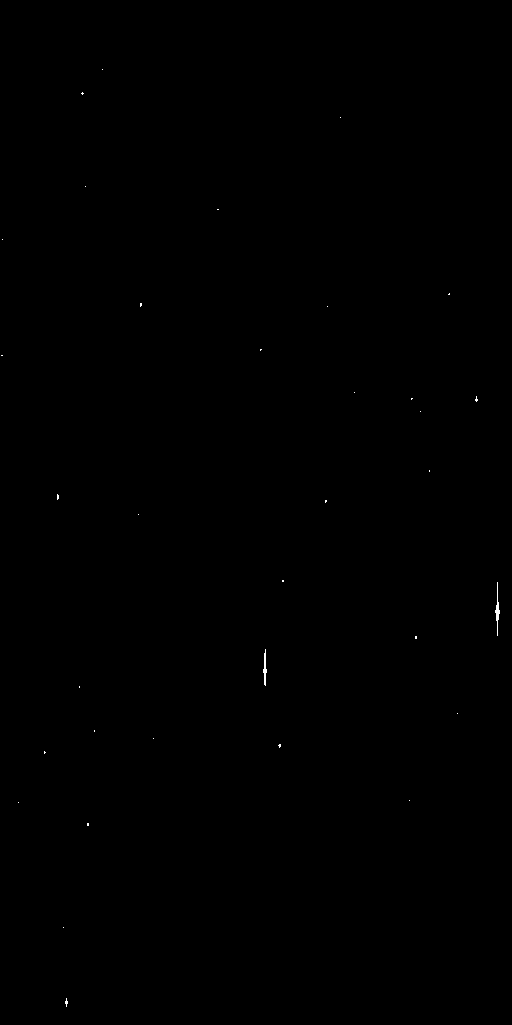 Preview of Cal-JDEJONG-OMEGACAM-------OCAM_r_SDSS-ESO_CCD_#83---Satur-Pix-57879.4773846-d77876710cb3b358763ad4c99669988a88249251.fits.gz
