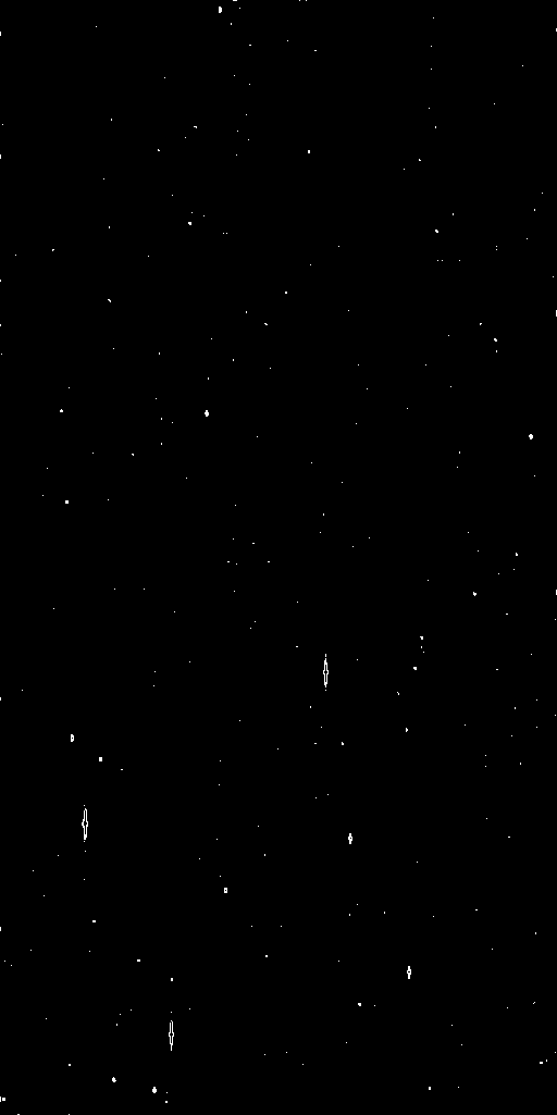 Preview of Cal-JMCFARLAND-OMEGACAM-------OCAM_r_SDSS-ESO_CCD_#67---Cosm-Pix-56564.4430494-ad852a4ba949434a2454ed74824891ce5888f990.fits.gz