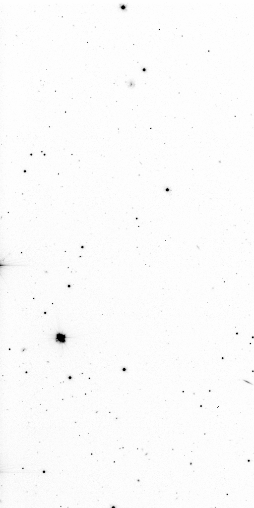 Preview of Sci-JMCFARLAND-OMEGACAM-------OCAM_g_SDSS-ESO_CCD_#65-Red---Sci-57059.0345664-a292b024d38838b419efc12e708b63825565da27.fits