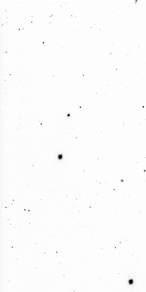 Preview of Sci-JMCFARLAND-OMEGACAM-------OCAM_g_SDSS-ESO_CCD_#65-Red---Sci-57256.9109009-f82a36938dfa0c75d01c02f9360523f1606e3106.fits