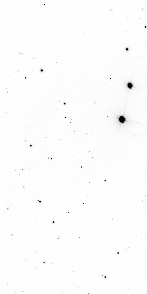 Preview of Sci-JMCFARLAND-OMEGACAM-------OCAM_g_SDSS-ESO_CCD_#73-Red---Sci-57068.1623232-c5f61b4c16314196174944a7351f2bd7ce7e4f08.fits