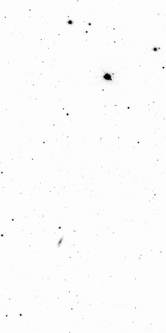 Preview of Sci-JMCFARLAND-OMEGACAM-------OCAM_g_SDSS-ESO_CCD_#73-Regr---Sci-56564.6794224-2b70baef4def51e6b8fec3131a913bc4eb124efa.fits