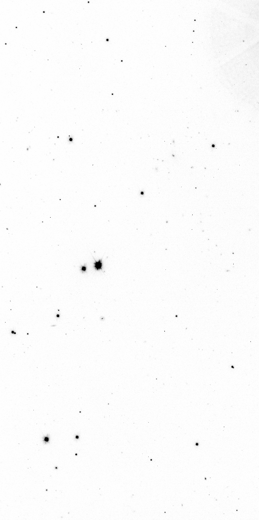 Preview of Sci-JMCFARLAND-OMEGACAM-------OCAM_g_SDSS-ESO_CCD_#75-Red---Sci-56565.0776220-b96f22fce18ae8465e178acc12f57f723558bd9c.fits