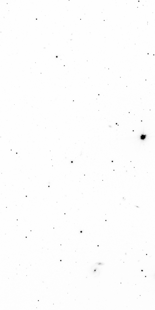 Preview of Sci-JMCFARLAND-OMEGACAM-------OCAM_g_SDSS-ESO_CCD_#75-Red---Sci-57068.9684483-36b86d18d1ecb147c3130c19c513911dc6730a86.fits