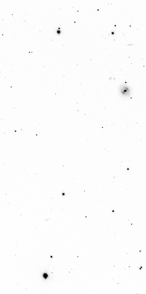 Preview of Sci-JMCFARLAND-OMEGACAM-------OCAM_g_SDSS-ESO_CCD_#77-Red---Sci-57273.4186882-55edc90a8b02ec116359108a85f30114a2663517.fits