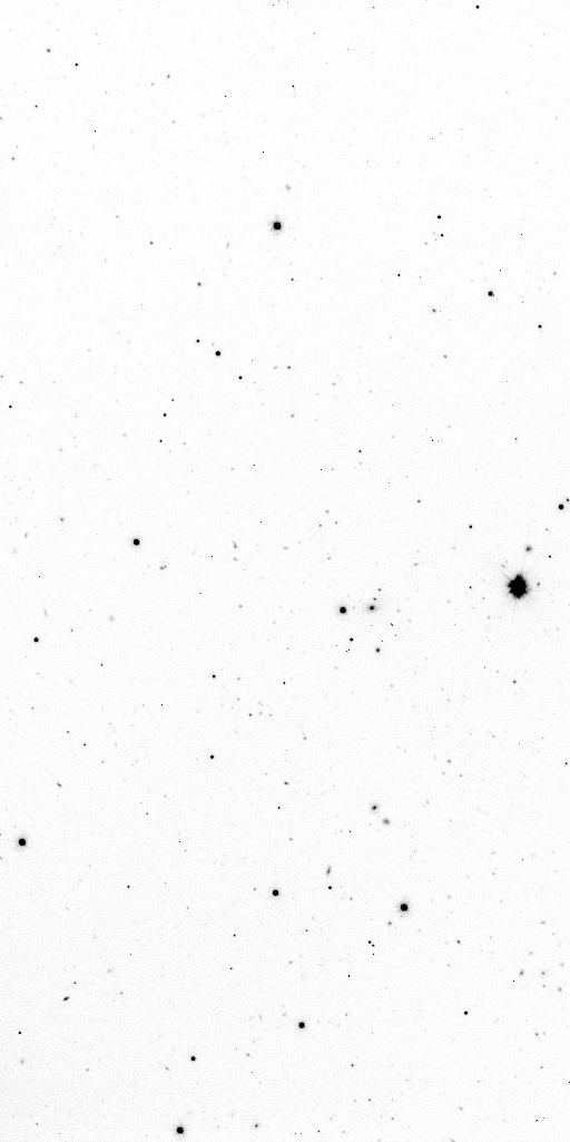 Preview of Sci-JMCFARLAND-OMEGACAM-------OCAM_g_SDSS-ESO_CCD_#78-Red---Sci-56493.1578886-2e14f5ffde13d399a01b00c03d3c1f28fb504c9b.fits
