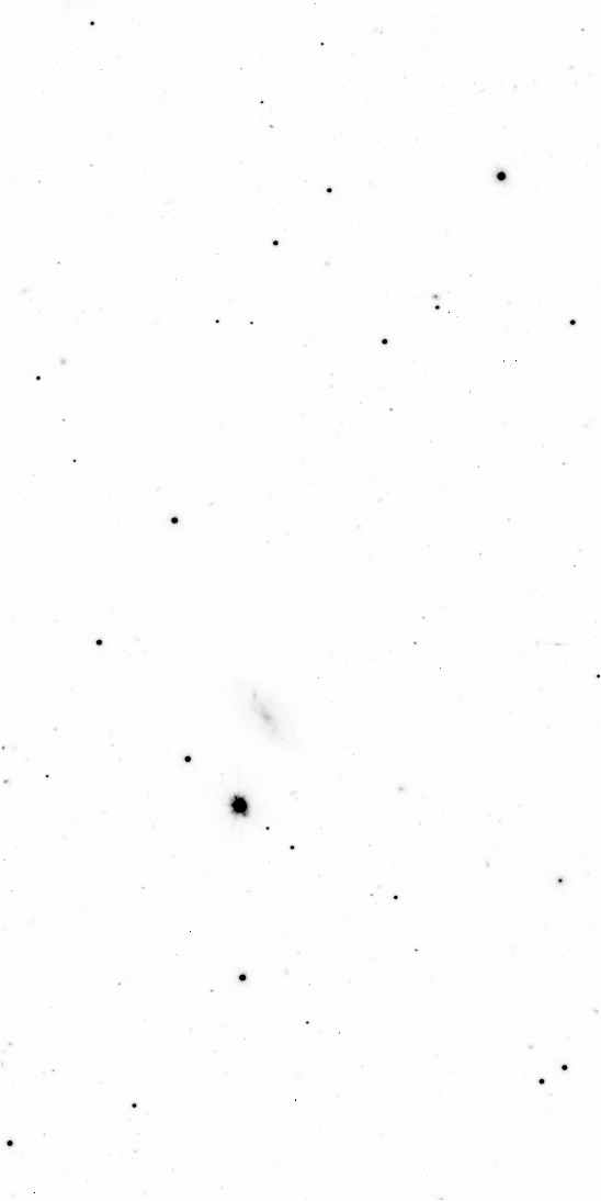 Preview of Sci-JMCFARLAND-OMEGACAM-------OCAM_g_SDSS-ESO_CCD_#78-Regr---Sci-57293.0799936-d25cea4b39d5fb9510dff9d75ebd027ec951ce0c.fits