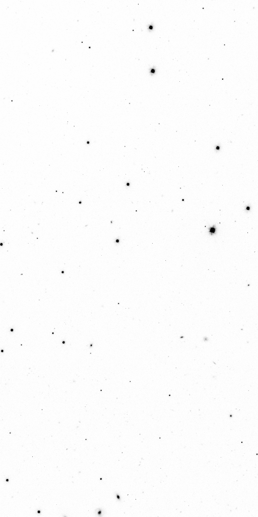 Preview of Sci-JMCFARLAND-OMEGACAM-------OCAM_g_SDSS-ESO_CCD_#79-Red---Sci-57327.7549260-bbabe1f1ffa72f2aecdcdc3c103f64b7c9975734.fits