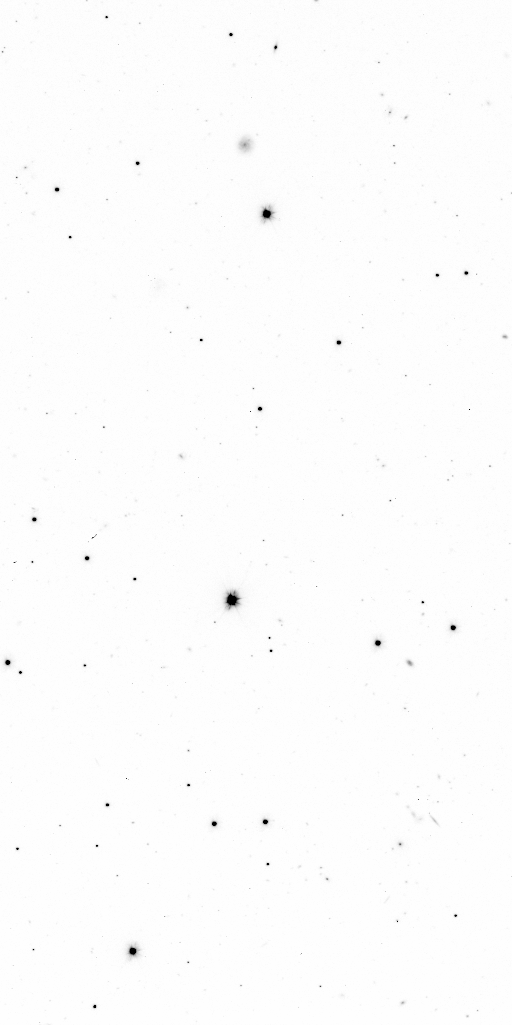 Preview of Sci-JMCFARLAND-OMEGACAM-------OCAM_g_SDSS-ESO_CCD_#92-Red---Sci-57268.4766365-e5ba7b5b1ebc21fcc4e04ee46aed8d34a0374824.fits