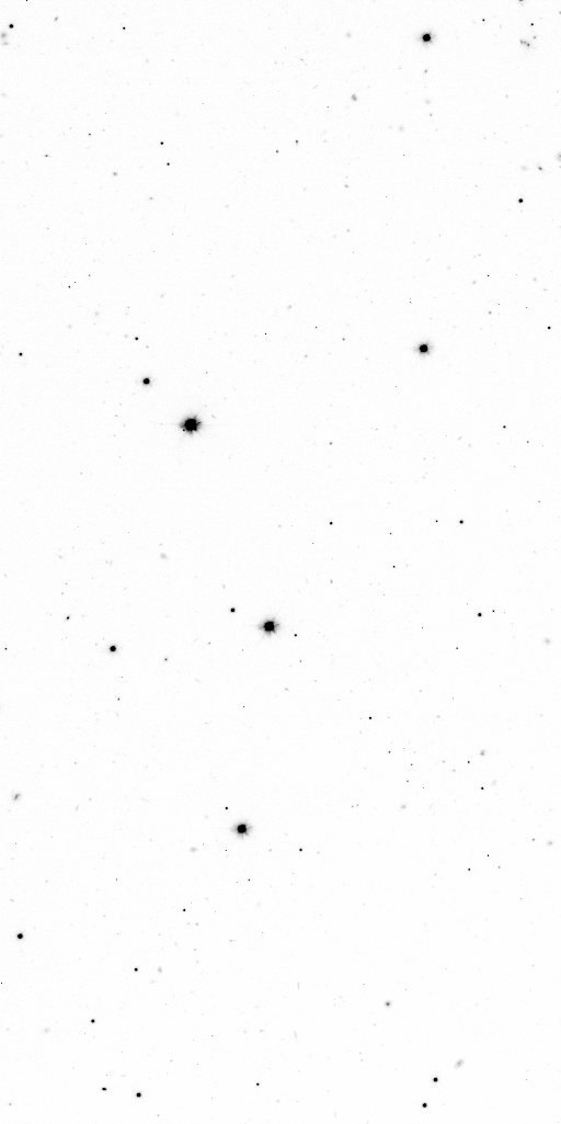 Preview of Sci-JMCFARLAND-OMEGACAM-------OCAM_g_SDSS-ESO_CCD_#93-Red---Sci-57255.2015144-df4e19913e62d98b9c5297d6646d59c18491ae72.fits