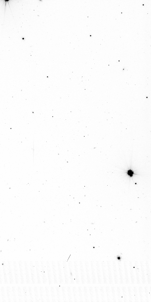 Preview of Sci-JMCFARLAND-OMEGACAM-------OCAM_g_SDSS-ESO_CCD_#95-Red---Sci-57306.1006953-319048953054321e454c8424ed18f3fee0ea423a.fits