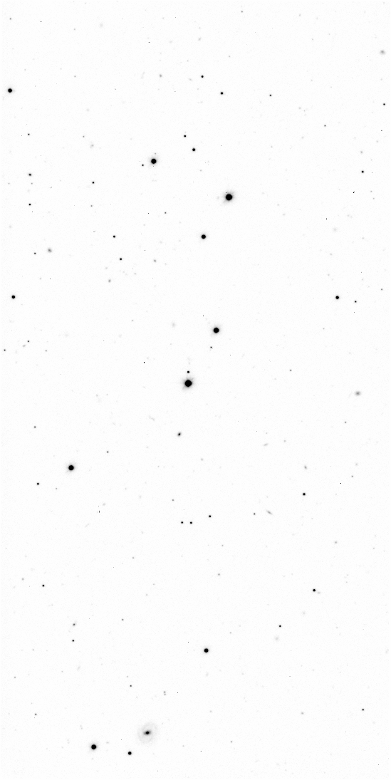 Preview of Sci-JMCFARLAND-OMEGACAM-------OCAM_g_SDSS-ESO_CCD_#95-Regr---Sci-57059.1398780-7b948924a091a85f08a45ede7b1f2b057e60e283.fits