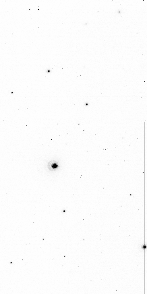 Preview of Sci-JMCFARLAND-OMEGACAM-------OCAM_u_SDSS-ESO_CCD_#81-Red---Sci-56404.4002330-ec744c6c9156c73041c6200402e1723972c2115b.fits